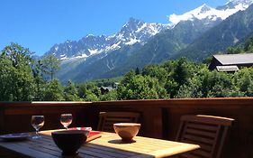 Facing The Chamonix Needles